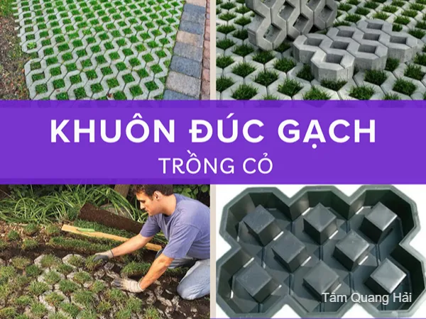 Nơi bán khuôn đúc gạch trồng cỏ tại Hà Nam